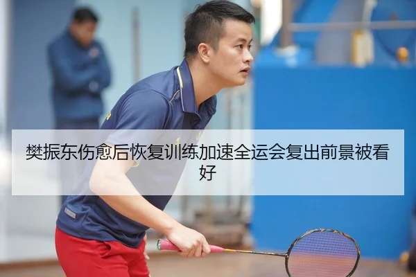 樊振东伤愈后恢复训练加速全运会复出前景被看好